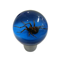 Autotecnica Spider Gear Shift Knob Blue 0602