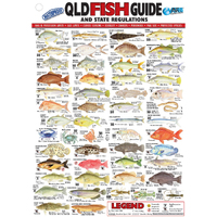 Qld Fish Id Card - Vinyl