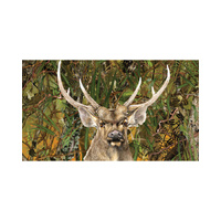 Outdoor Mat - Deer