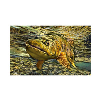 Outdoor Mat - Brown Trout