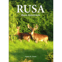 Rusa - Rusa Timorensis