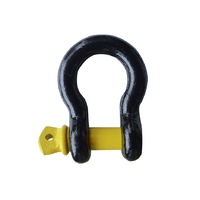 ROADSAFE - D-SHACKLE 10MM STAMPED AND RATED S GRADE WLL 1T BULK W/BARCODE