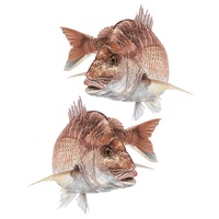 Snapper Dual Boat Sml Sticka