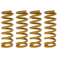 Tough Dog Pair of Front & Rear 40mm Lift Coil Springs For Ford Everest Next-Gen 2022-On Steel Bullbar/300Kg Constant