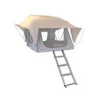 Tent Ladder