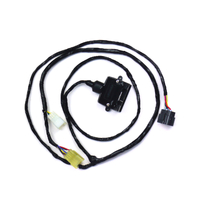 TAG Direct Fit Wiring Harness to suit Ford Falcon (09/1998 - 10/2016), Fairmont (09/1998 - 01/2008), LTD (07/2003 - 12/2007)