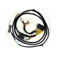 TAG Direct Fit Wiring Harness to suit Mitsubishi 380 (08/2005 - 04/2008)
