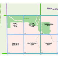 Olive Downs 7239 NSW Topographic Map